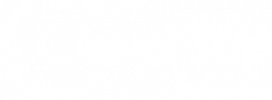 CleverTop Logo
